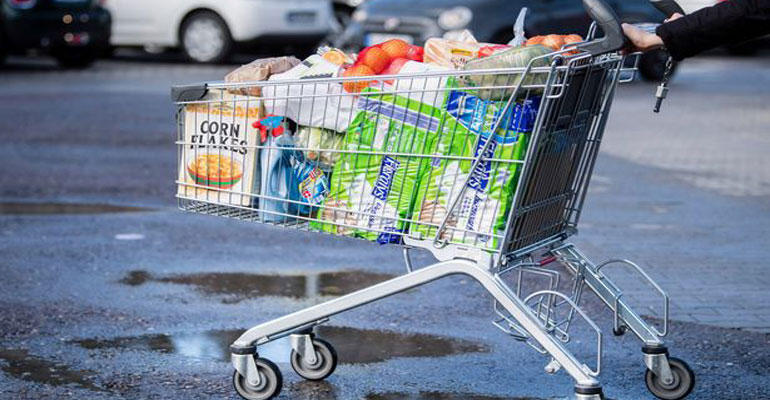 Goods Carrying Trolley